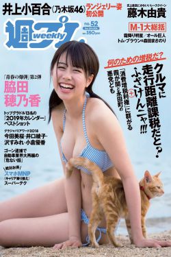 男女无遮挡猛进猛出免费视频