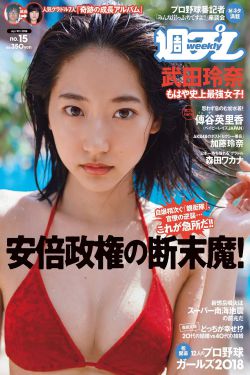 海贼王女帝被海军轮